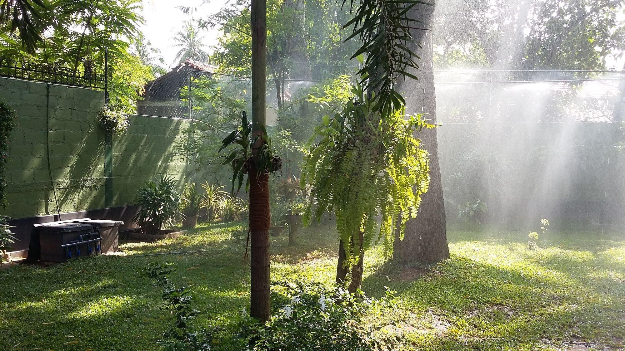Bed and Breakfast West Dene Negombo Esterno foto