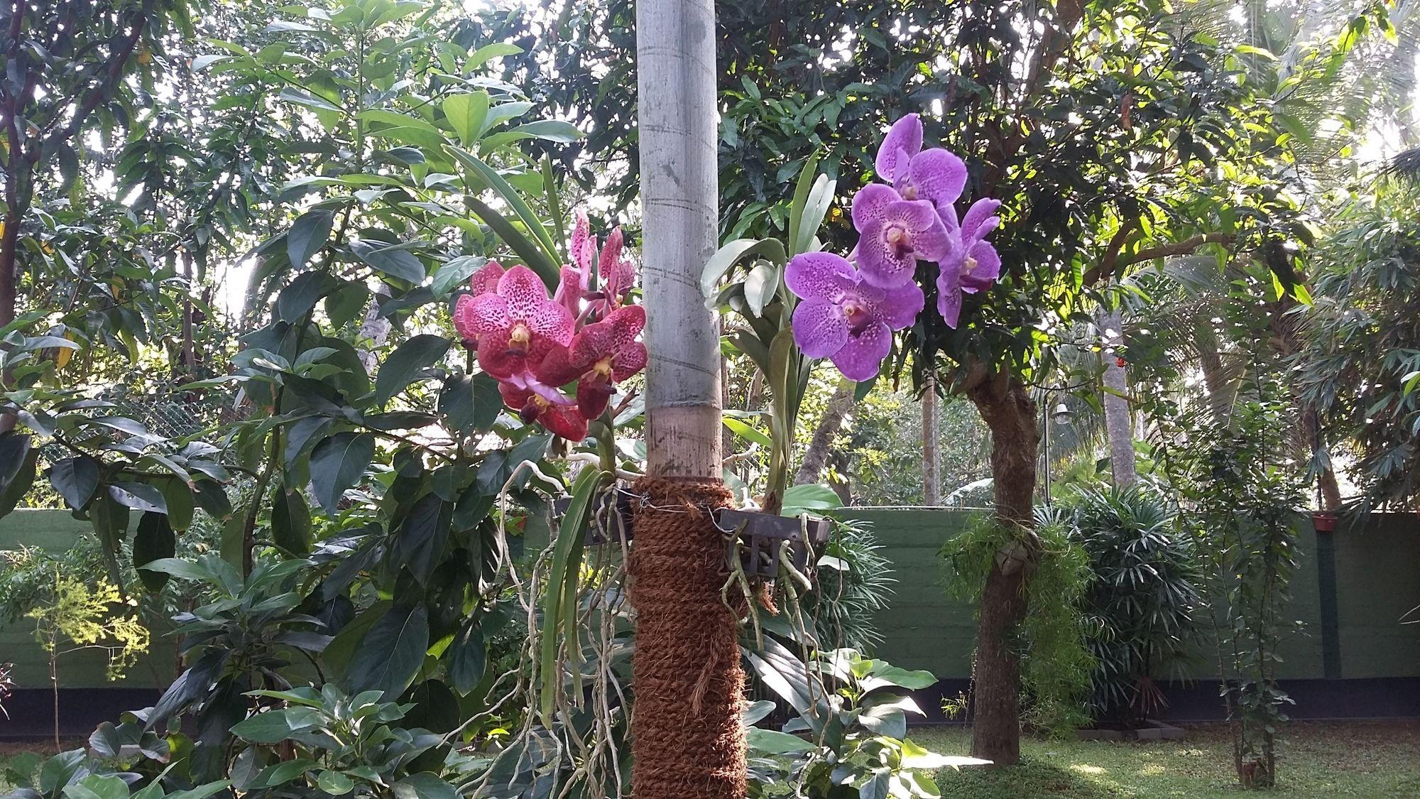 Bed and Breakfast West Dene Negombo Esterno foto