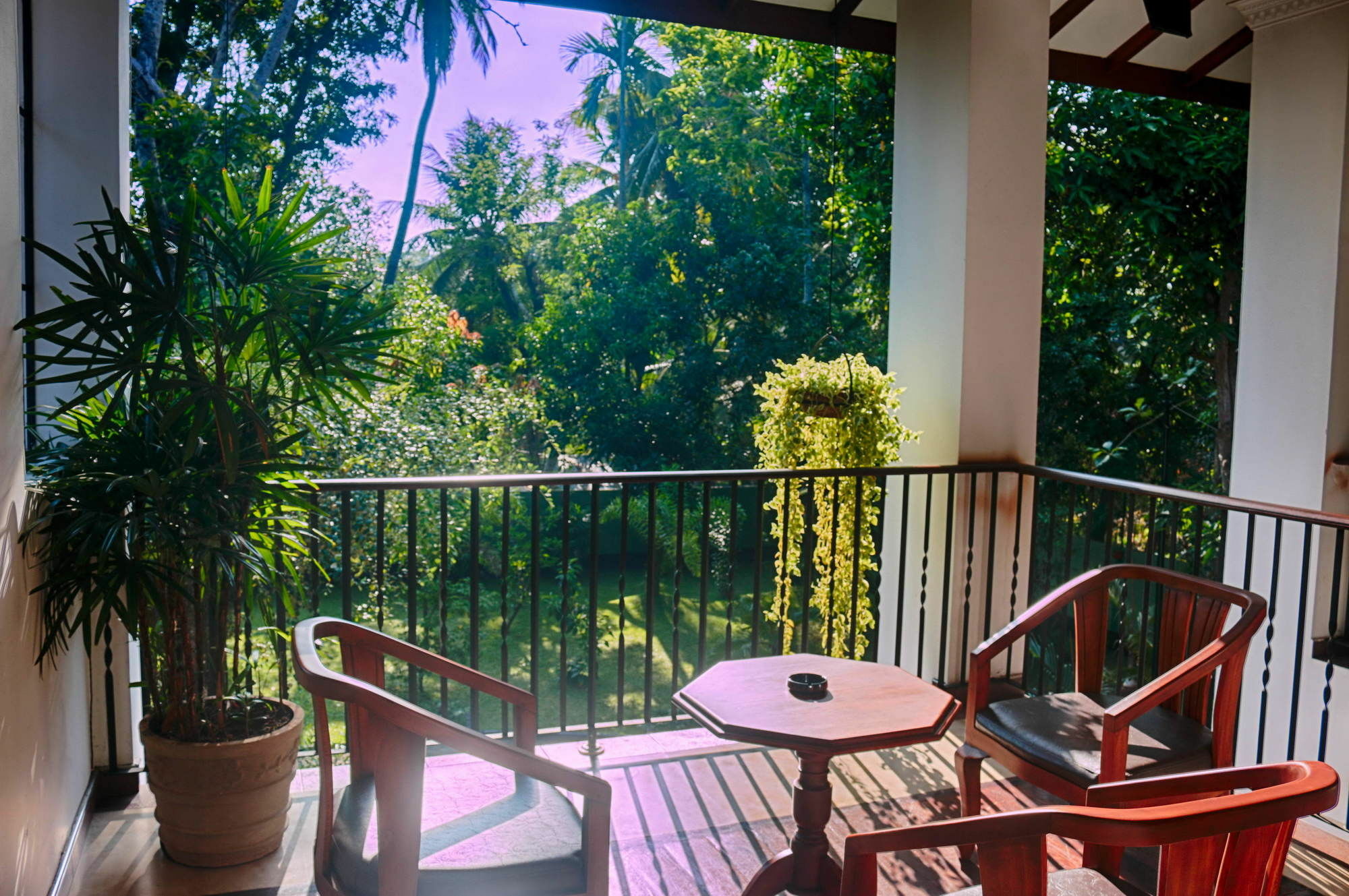 Bed and Breakfast West Dene Negombo Esterno foto