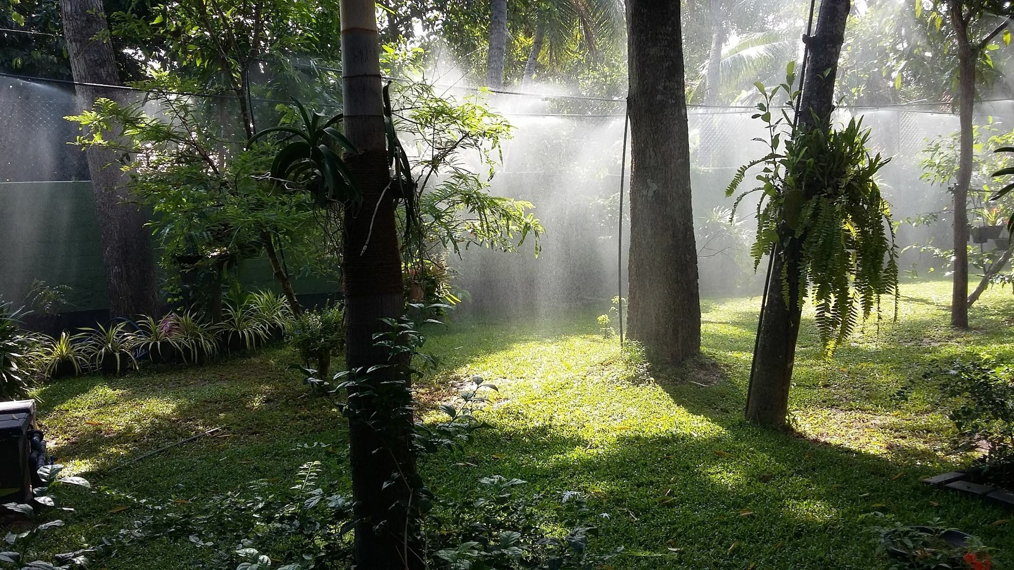 Bed and Breakfast West Dene Negombo Esterno foto